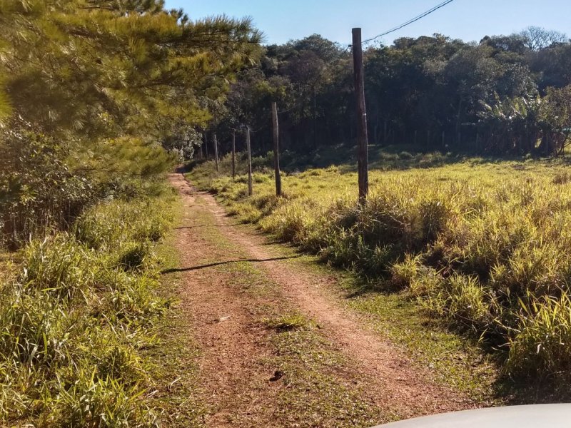 imóvel com 10500m² - Espigão - Viamao