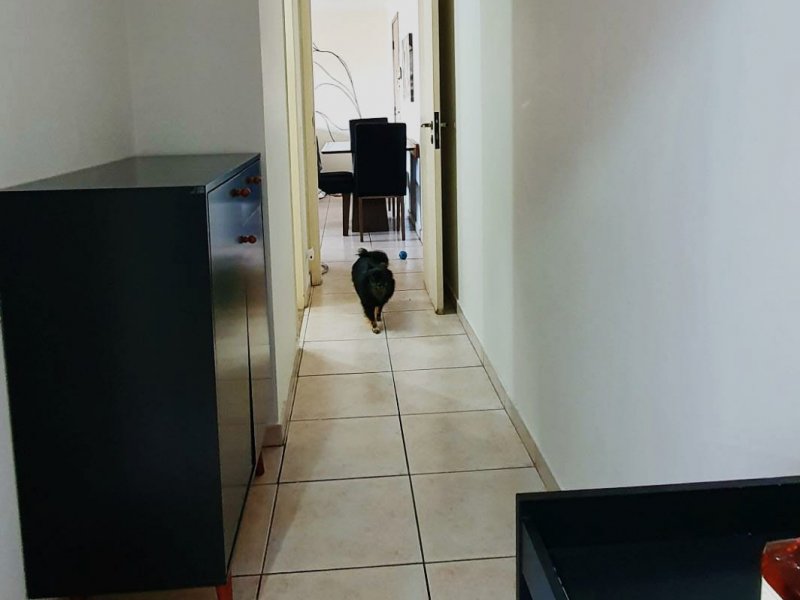 Apartamento à venda Vila Guarani com 72m² e 2 quartos por R$ 480.000 - 2067132159-1-21.jpeg