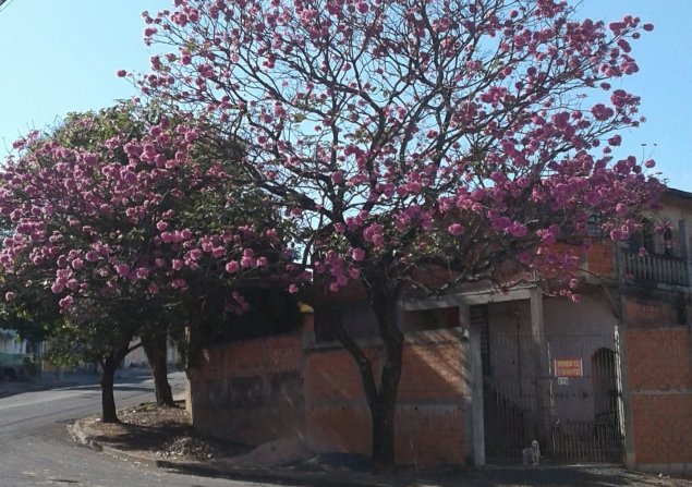 imóvel com 192m²