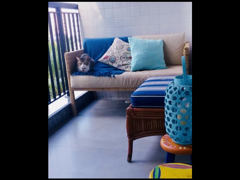 Apartamento à venda Morumbi com 105m² e 3 quartos por R$ 900.000 - 1189922510-3b82e567-ba9b-4085-8136-adf4f2ebb1f8.jpg