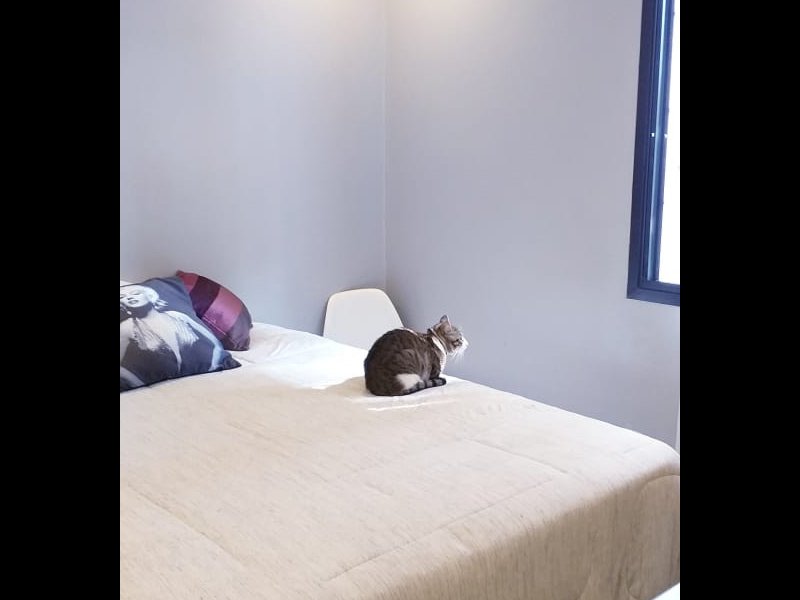 Apartamento à venda Morumbi com 105m² e 3 quartos por R$ 900.000 - 1732523902-2ad840c0-3e34-4c10-8cb3-c8f2d230d545.JPG