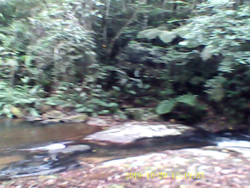 Sítio à venda quatinga com 372400m² e 1 quarto por R$ 3.739.999 - rec00096-moment10.jpg