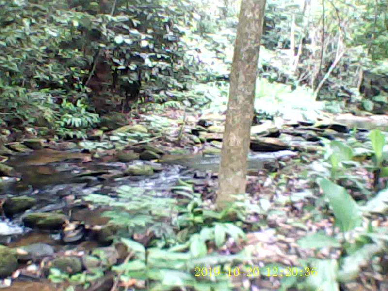 Sítio à venda quatinga com 372400m² e 1 quarto por R$ 3.739.999 - rec00098-moment12.jpg