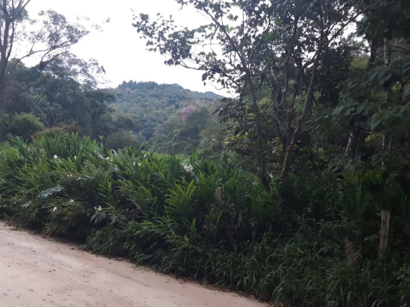 Sítio à venda quatinga com 372400m² e 1 quarto por R$ 3.739.999 - sitio-quatinga26.jpg