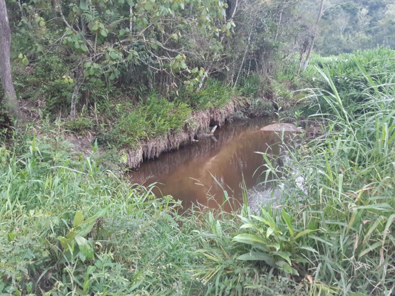 Sítio à venda quatinga com 372400m² e 1 quarto por R$ 3.739.999 - sitio-quatinga27.jpg