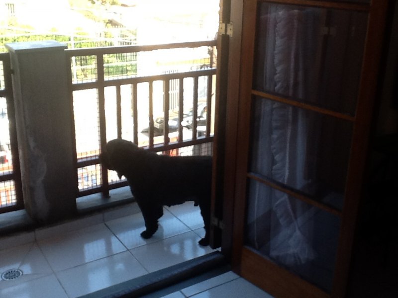 Casa à venda Pirituba com 140m² e 4 quartos por R$ 685.000 - 247793797-img-0076.JPG