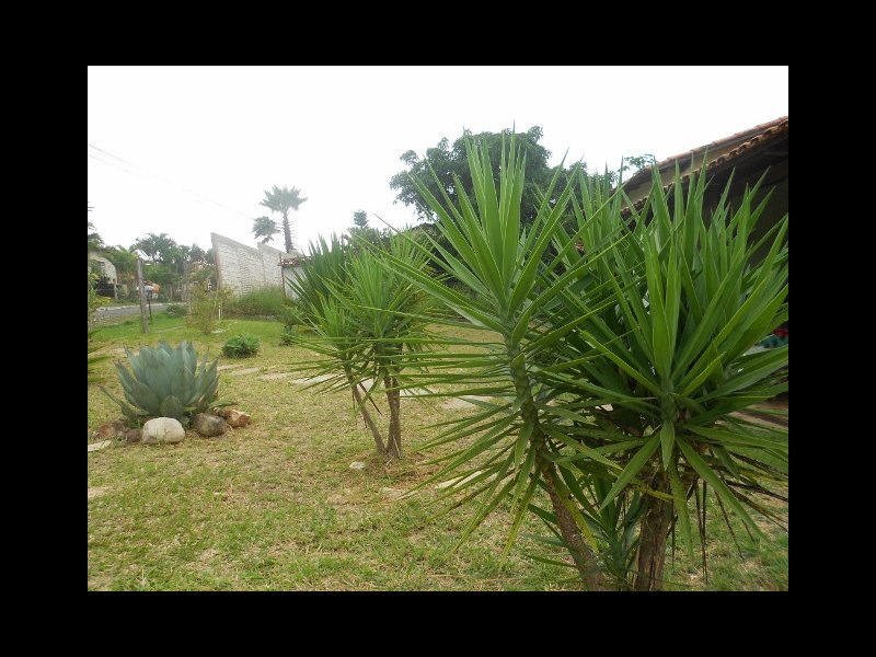 imóvel com 1000m² - Jardim Botanico - Brasília