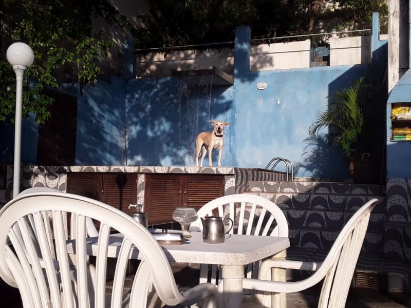 Casa à venda Santa Teresa com 811m² e 3 quartos por R$ 1.200.000 - 1213794792-img-20201111-wa0091.jpg