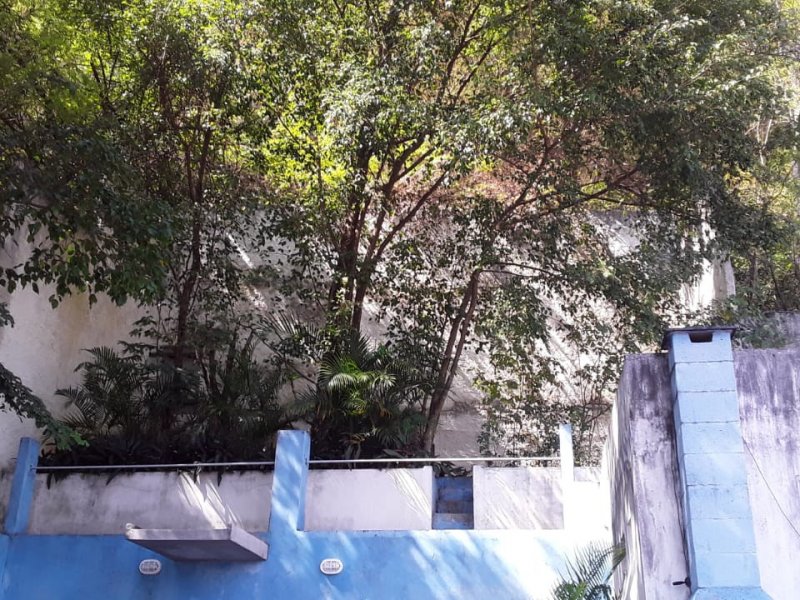 Casa à venda Santa Teresa com 811m² e 3 quartos por R$ 1.200.000 - 1265080707-img-20201111-wa0085.jpg