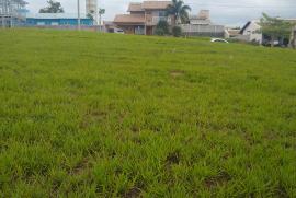 Terreno à venda Soares com 525m² -  dormitórios -  vagas - R$ 175.000 - 1421385863-img-20201101-150836045.jpg