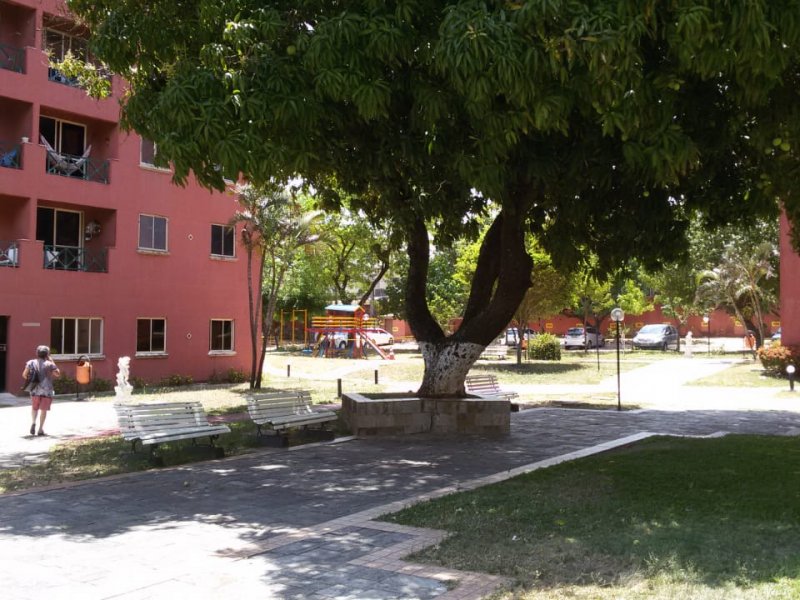 Apartamento à venda Lagoa Nova com 79m² e 3 quartos por R$ 270.000 - 785516819-17.jpeg