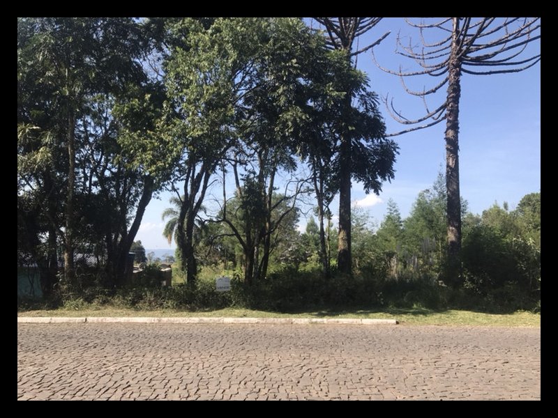imóvel com 667m² - Vila Germania - Nova Petropolis