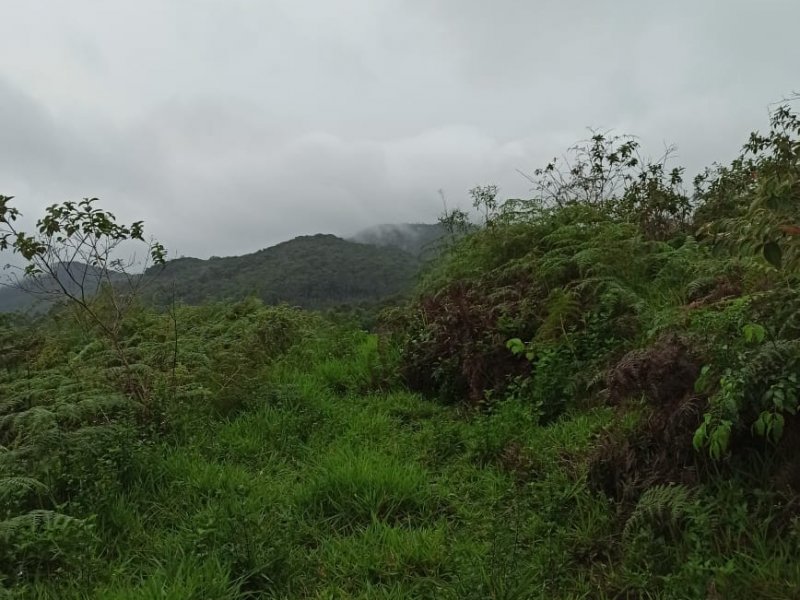 imóvel com 100000m² - Braço - Camboriu