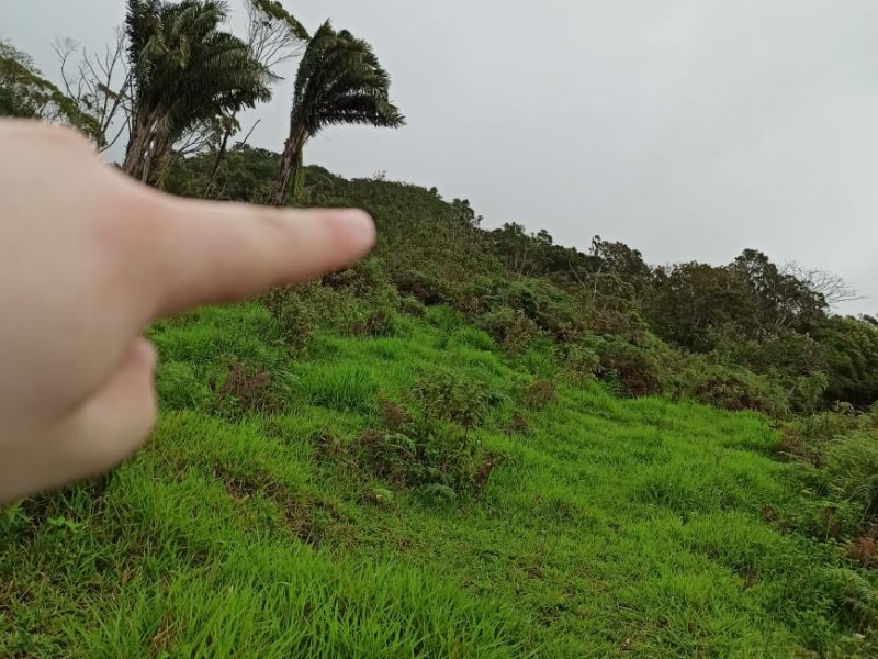 imóvel com 100000m² - Braço - Camboriu
