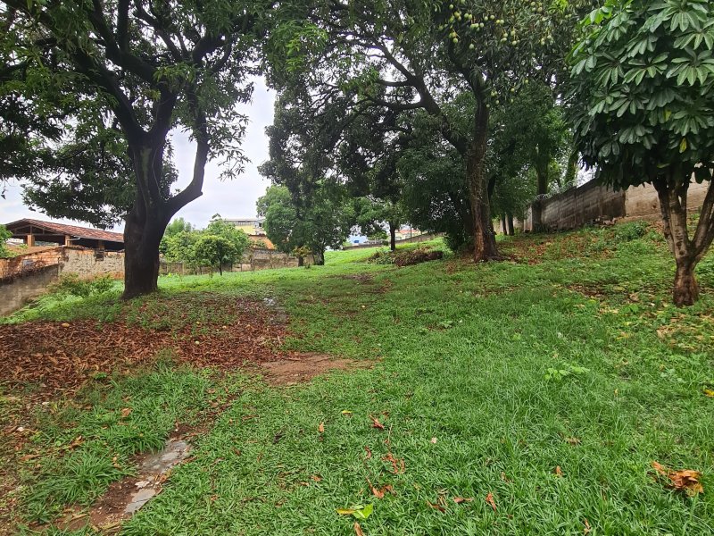 Apartamento à venda Betânia com 40m² e 2 quartos por R$ 195.000 - 15553336-20201112-163730.jpg