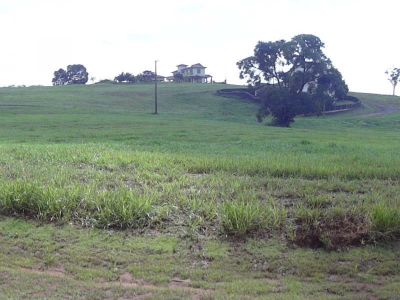 Terreno à venda centro com 690m² e  quartos por R$ 75.000.000 - 764038134-dsc00847.JPG