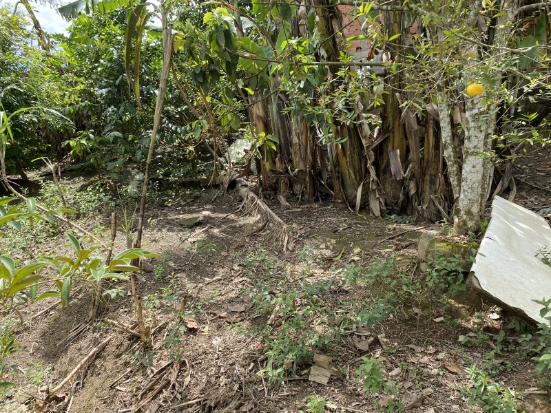 Terreno à venda Jardim Novo Parelheiros com 250m² e  quartos por R$ 75.000 - 1508269320-45328c3c-93ce-4155-ad24-4338072098d8.jpeg