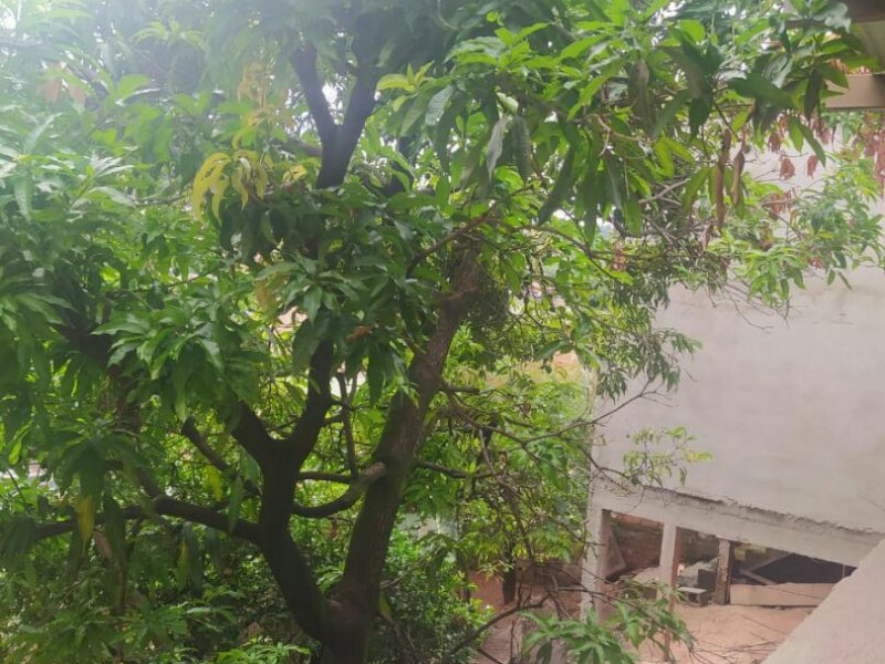 Casa à venda São Cosme de Baixo (São Benedito) com 360m² e 2 quartos por R$ 330.000 - 34732538-9453de4c-1fca-44af-a902-1cc1d85e19ad.jpg