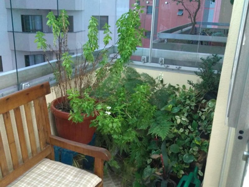 imóvel com 124m² - Baeta Neves sbc - São Bernardo do Campo sp