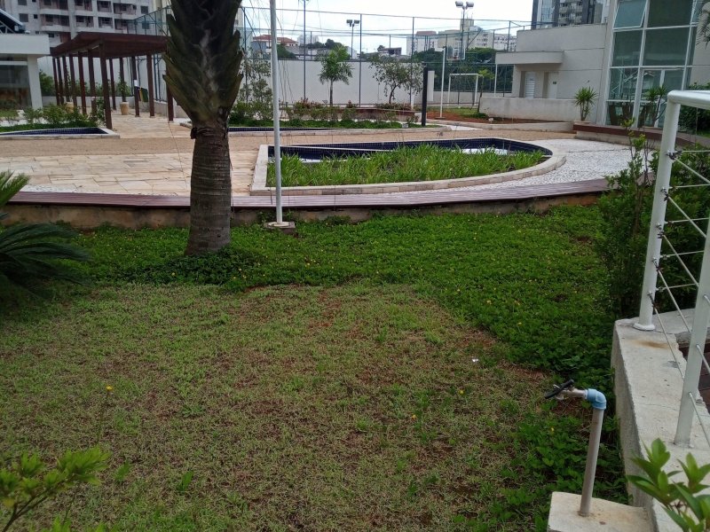 Apartamento à venda Baeta Neves com 130m² e 3 quartos por R$ 790.000 - 549506277-img-20201116-134910-817.jpg