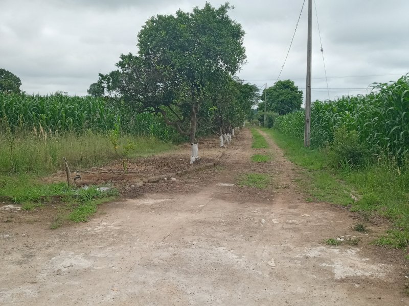 Sítio à venda BEIRA DO RIO com 620m² e 5 quartos por R$ 540.000 - 1134157505-20201112-081627.jpg