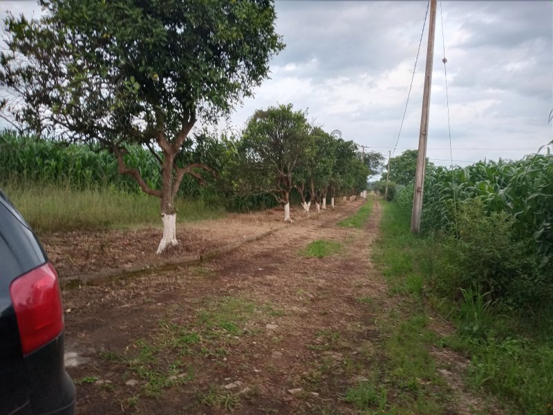 Sítio à venda BEIRA DO RIO com 620m² e 5 quartos por R$ 540.000 - 1372211577-20201110-183836.jpg