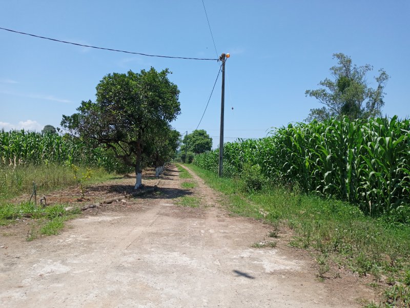 Sítio à venda BEIRA DO RIO com 620m² e 5 quartos por R$ 540.000 - 1466429495-20201114-121006.jpg