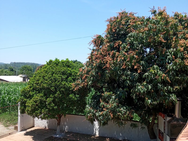 Sítio à venda BEIRA DO RIO com 620m² e 5 quartos por R$ 540.000 - 189918581-20201114-115504.jpg