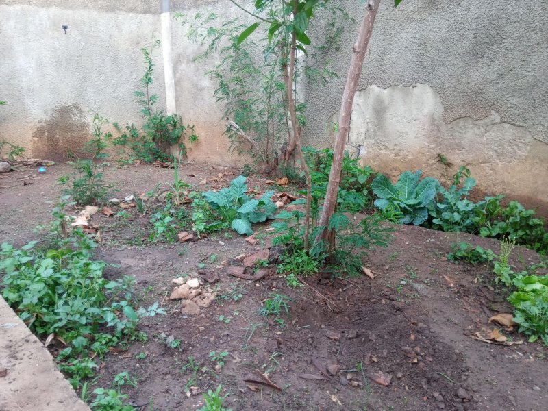 imóvel com 63m² - Dona Clara - Belo Horizonte