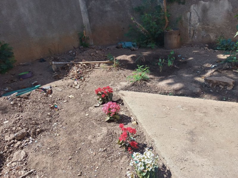 imóvel com 63m² - Dona Clara - Belo Horizonte