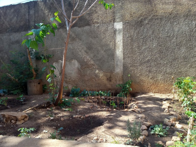 imóvel com 63m² - Dona Clara - Belo Horizonte