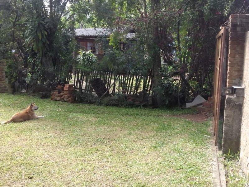 Casa à venda Ponta Grossa com 500m² e 2 quartos por R$ 250.000 - 1462476516-img-20201008-wa00591.jpg