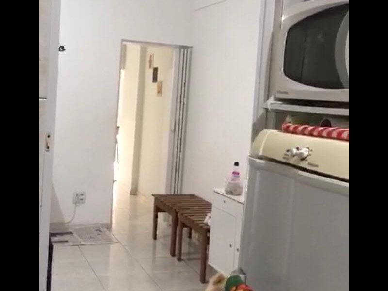 Apartamento à venda Flamengo com 54m² e 2 quartos por R$ 550.000 - 1132377832-fotos-paissandu-40.jpeg