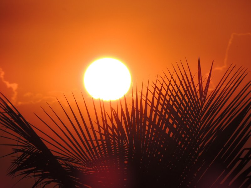 Casa à venda Barra de Guaratiba com 168m² e 3 quartos por R$ 380.000 - 1646817764-dscn3912.JPG