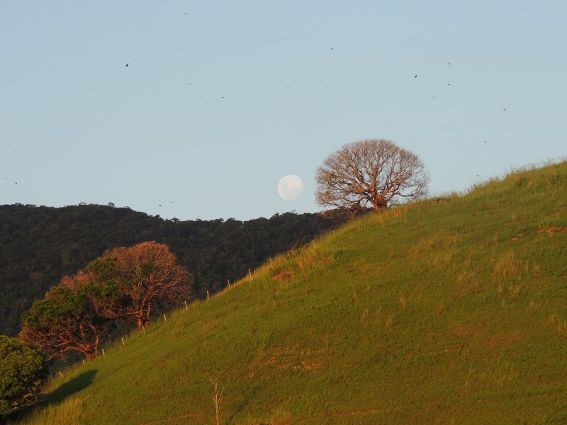 Casa à venda Barra de Guaratiba com 168m² e 3 quartos por R$ 380.000 - 899481505-dscn3875.JPG
