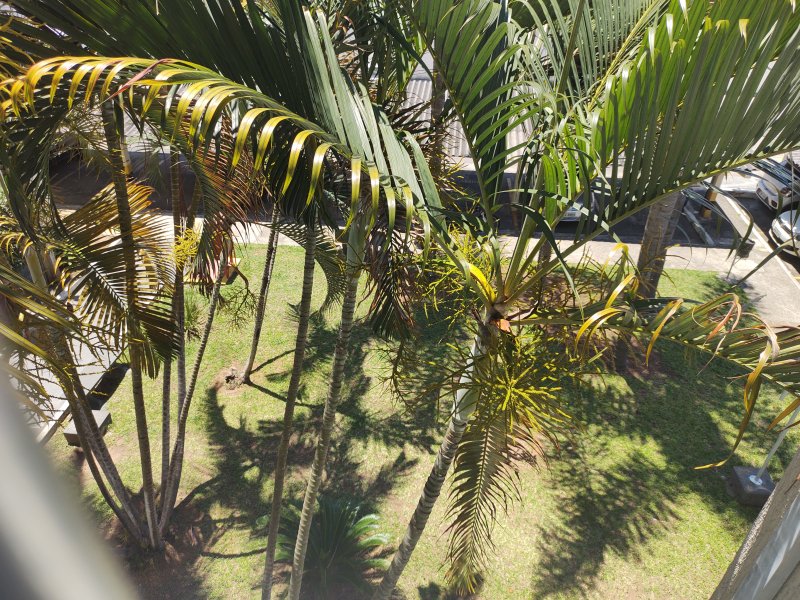 imóvel com 51m² - Conjunto Residencial Trinta e Um de Março - Sao Jose dos Campos