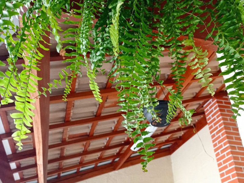 Casa de condomínio à venda Jardim Marcondes com 100m² e 2 quartos por R$ 300.000 - 1582629259-0050e4a2-c902-4b21-b7ba-9384d37b5725.jpg