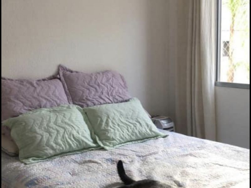 Apartamento à venda Água Chata com 50m² e 2 quartos por R$ 220.000 - 1797578699-d02c1b9f-f8dd-49cb-a746-91416f74d889.jpeg