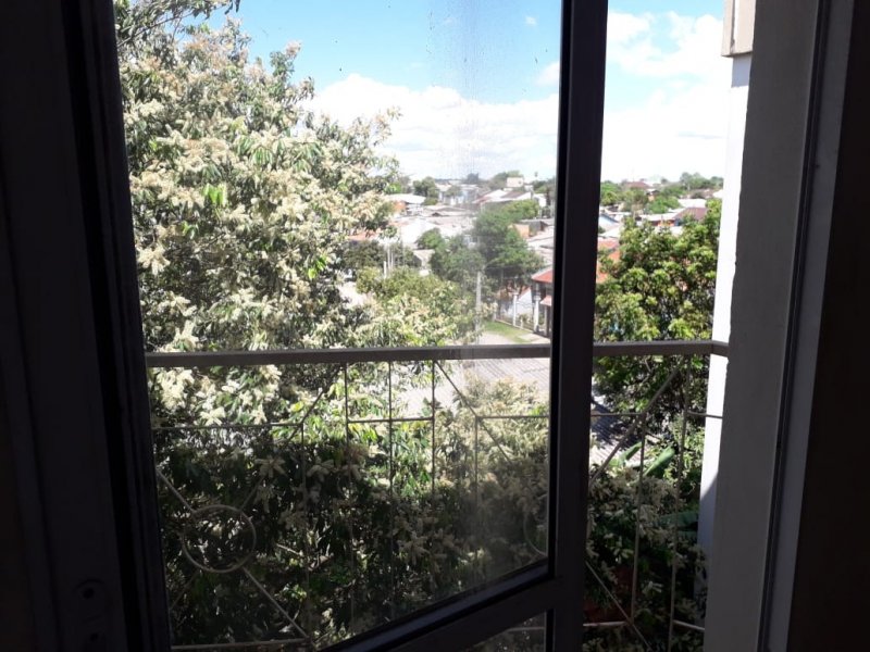 Apartamento à venda Santa Fe com 48m² e 2 quartos por R$ 120.000 - 295521736-whatsapp-image-2020-11-19-at-16.jpeg