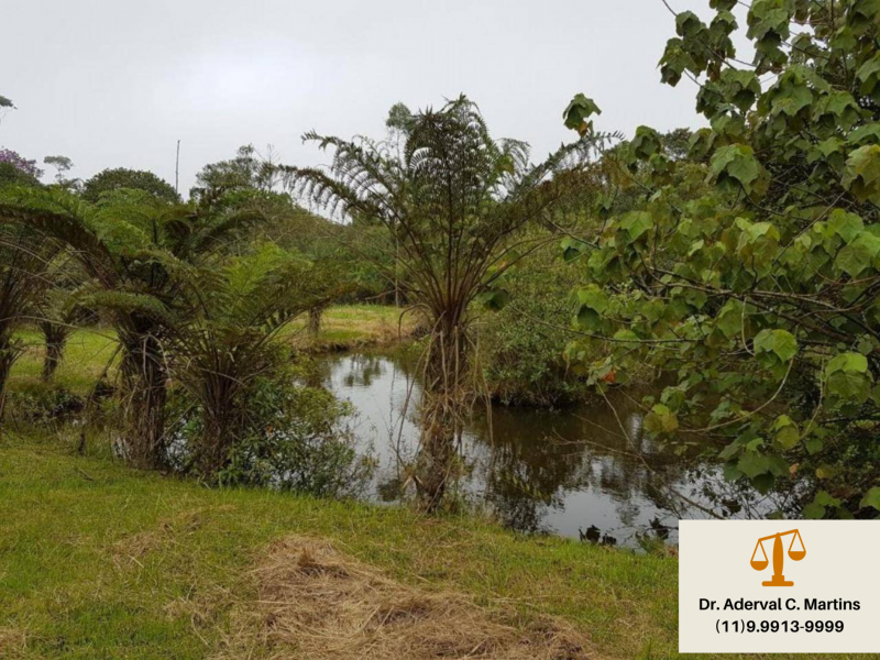 Chácara à venda Zanzala com 2350m² e 3 quartos por R$ 750.000 - 1875165865-6b968038-7b9b-46be-83e6-7807450002fe.png