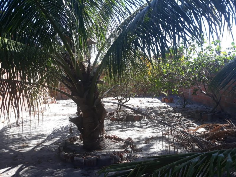 Casa à venda Malhada com 16m² e 3 quartos por R$ 40.000 - 804809875-whatsapp-image-2019-02-15-at-16.jpeg