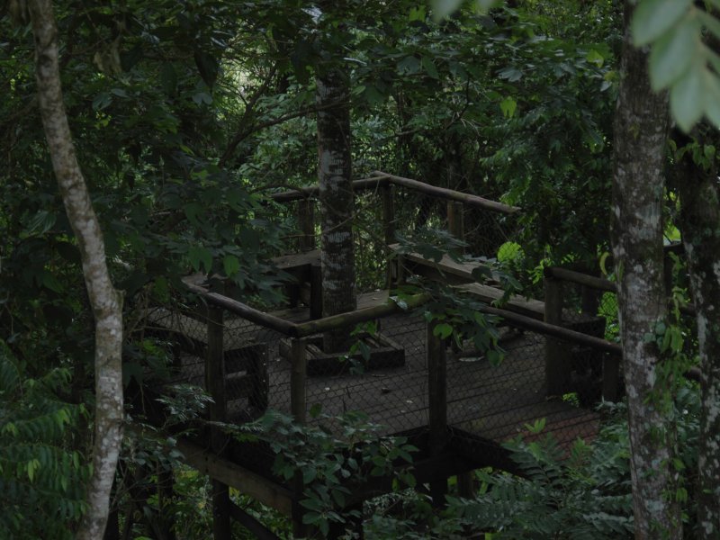 Chácara à venda Barreiro com 600m² e 5 quartos por R$ 1.100.000 - 1297376551-dsc-2509.JPG