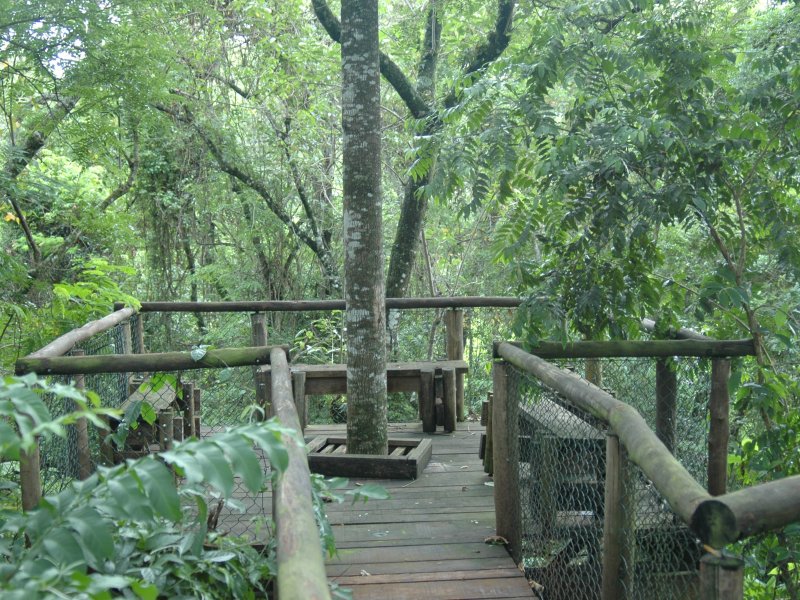 Chácara à venda Barreiro com 600m² e 5 quartos por R$ 1.100.000 - 152264435-dsc-2530.JPG