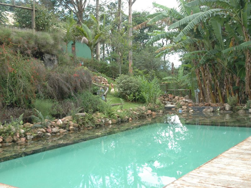 Chácara à venda Barreiro com 600m² e 5 quartos por R$ 1.100.000 - 662096733-dsc-2514.JPG