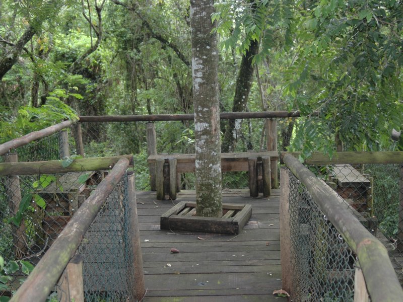 Chácara à venda Barreiro com 600m² e 5 quartos por R$ 1.100.000 - 662353480-dsc-2524.JPG