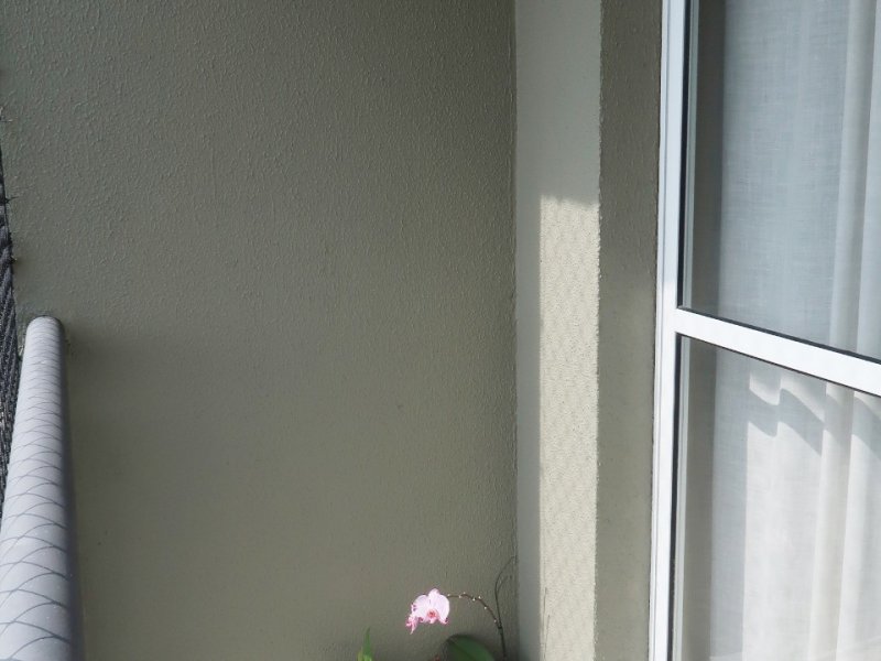 Apartamento à venda Vila Joao Basso com 64m² e 2 quartos por R$ 335.000 - 1513135221-whatsapp-image-2020-11-23-at-15.jpeg