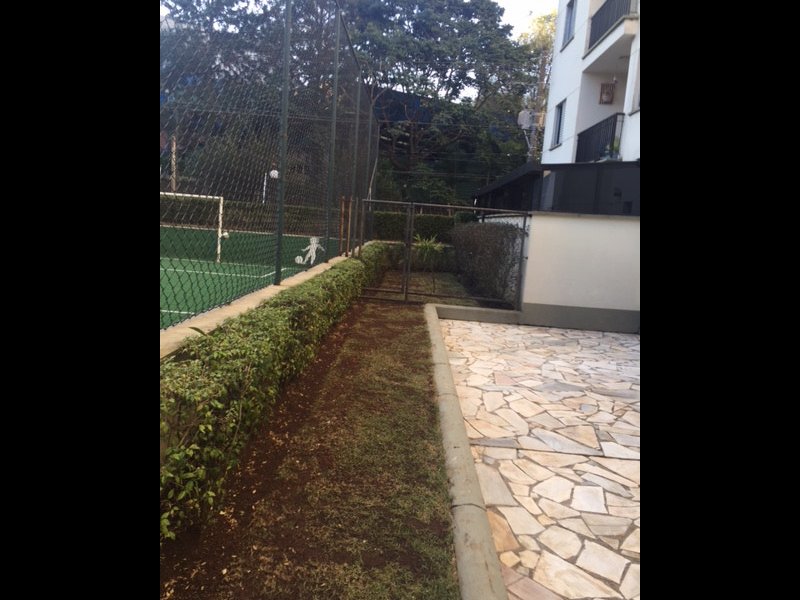 Apartamento à venda Jardim Paris com 52m² e 2 quartos por R$ 250.000 - 594862845-img-6920.JPG