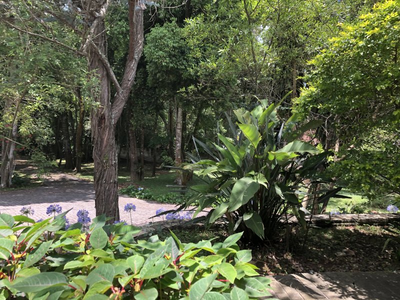 Casa de condomínio à venda Chácara Rincão com 5266m² e 4 quartos por R$ 1.300.000 - 1238850431-img-0077.JPG