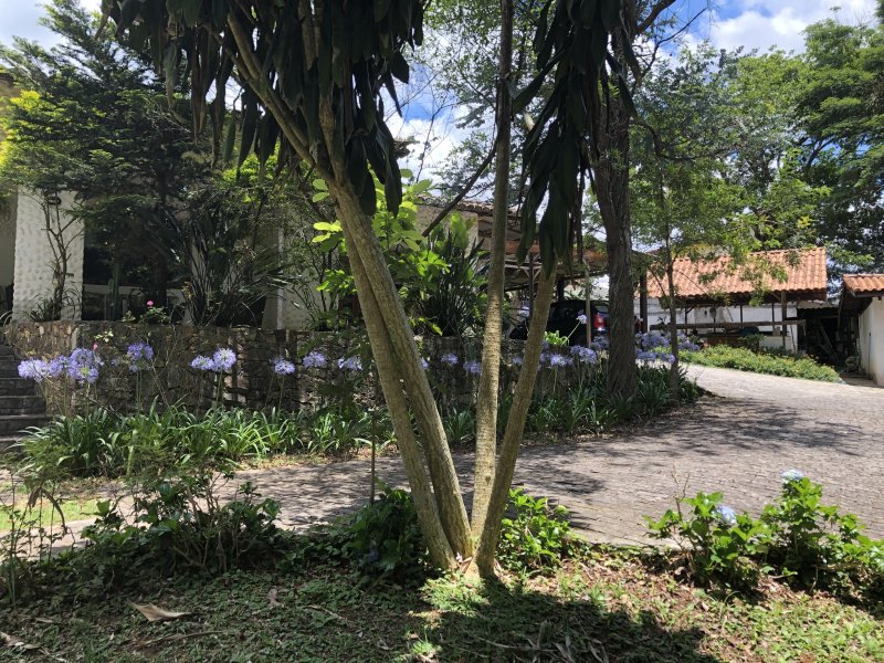 Casa de condomínio à venda Chácara Rincão com 5266m² e 4 quartos por R$ 1.300.000 - 757406533-img-0089.JPG