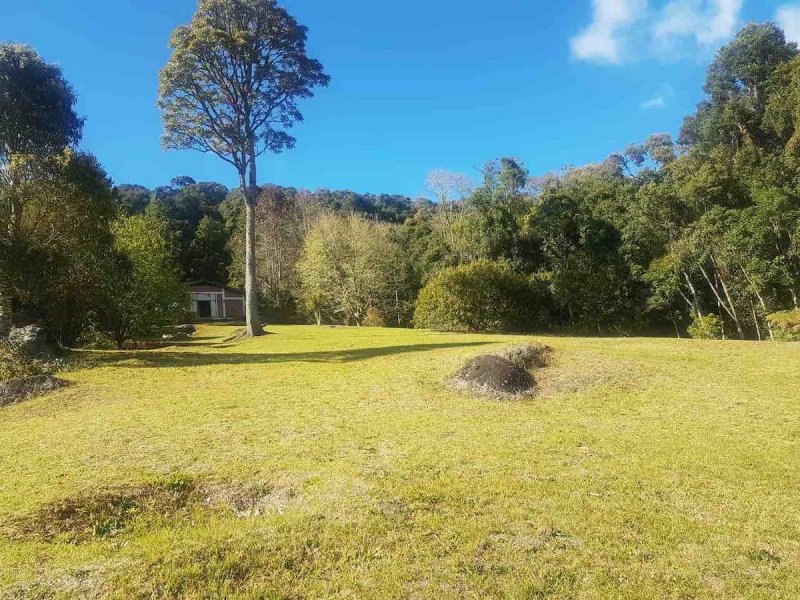 imóvel com 41930m² - Sertão do Cantagalo - Gonçalves